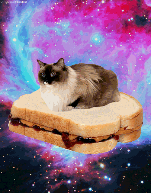 PBJCAT